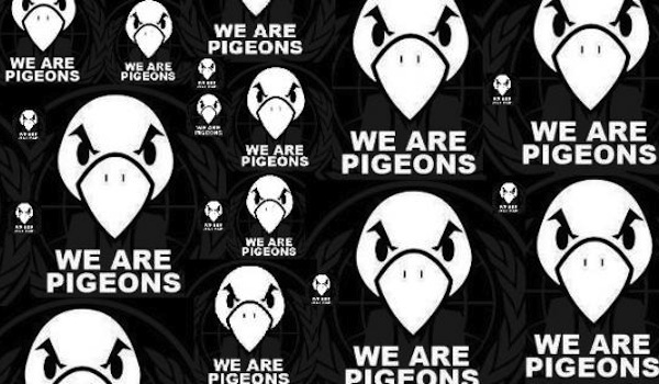 Les Pigeons Entrepreneurs