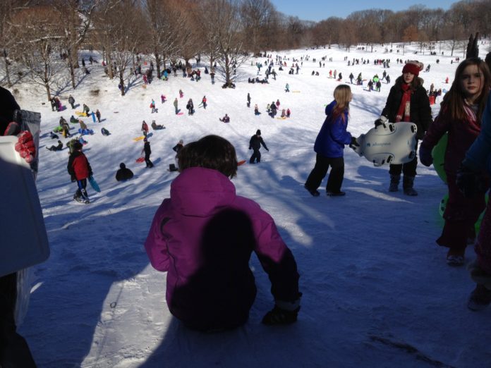 Luge a Prospect Park