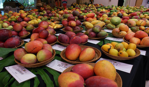 Mangofestival
