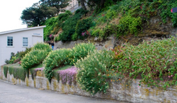 alcatraz
