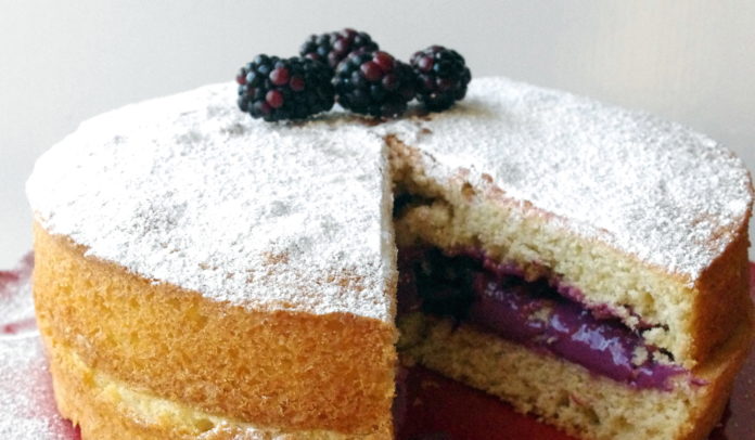 Schwarzbeeren Torte