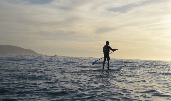 stand-up-paddle-board-bay-area