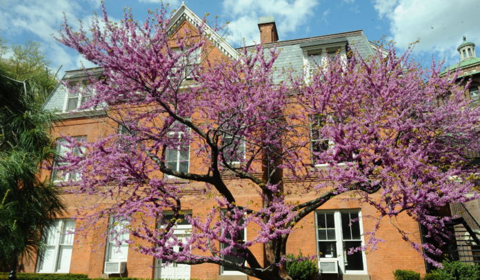 maisonexterior