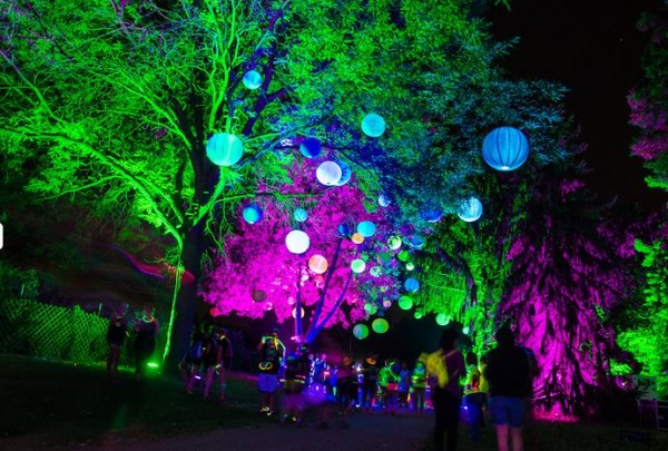 electric run