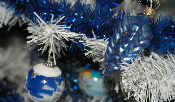 Sapin