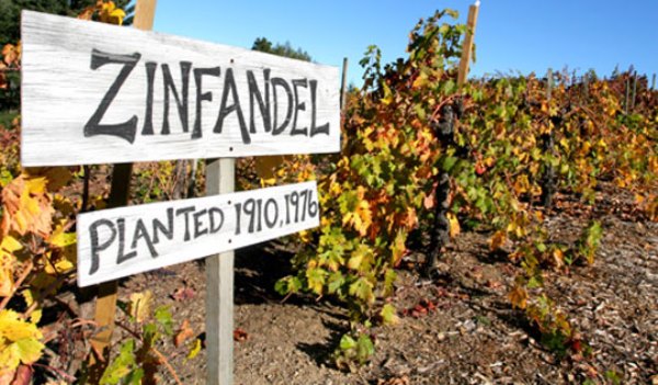 Zinfandel-Sign