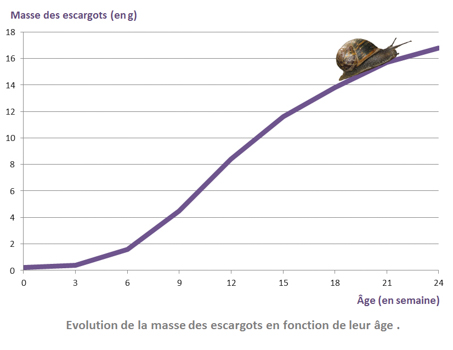 Escargot