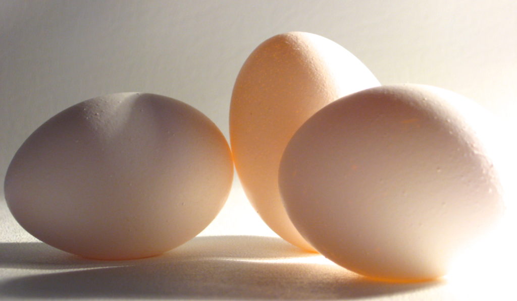 Pourquoi Les œufs Americains Sont Ils Blancs French Morning Us