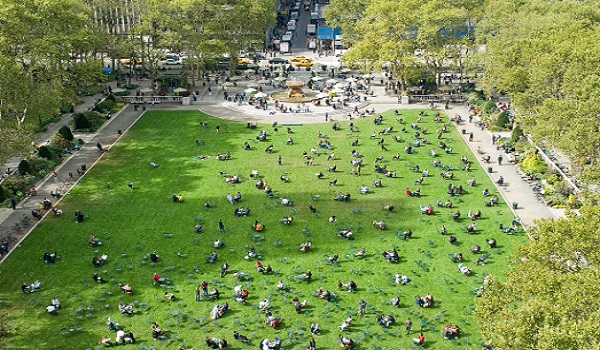Marco Castro, lawn and building shots 011