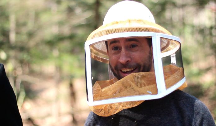 BEES