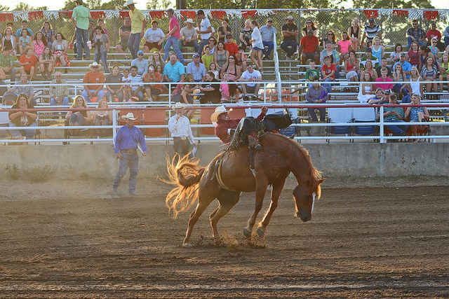 Bastrop 2013