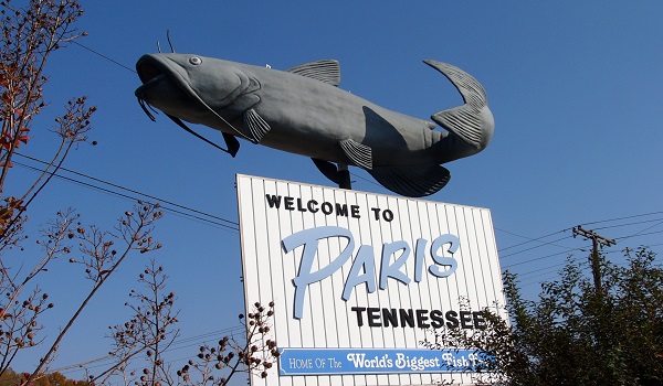 Catfish_welcome_to_paris_tennessee_11-09-2007