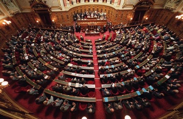 senat
