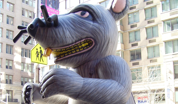 rat