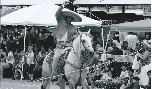 stock show rodeo