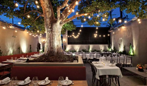 Terrine Patio