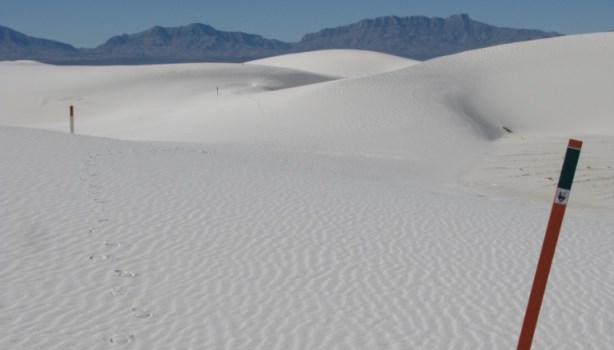 white sands