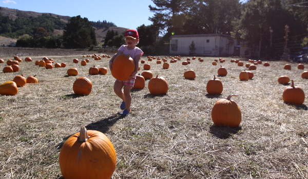Nicasio_600x350-3