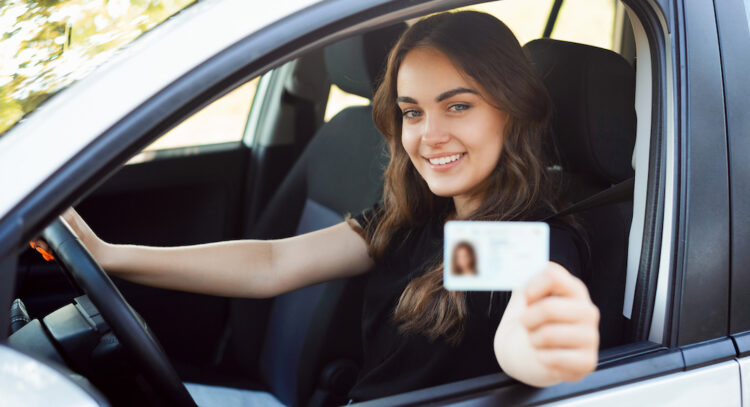Porte papiers voiture carte grise, permis, identité, assurance, 4