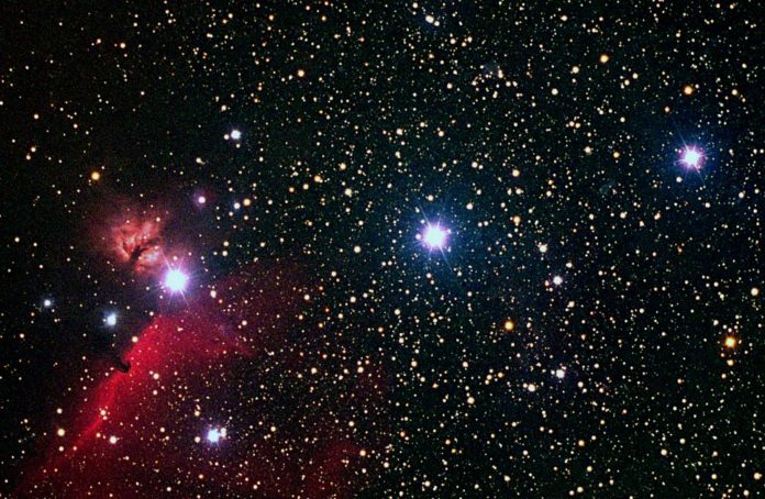 orion-ceinture-treacy