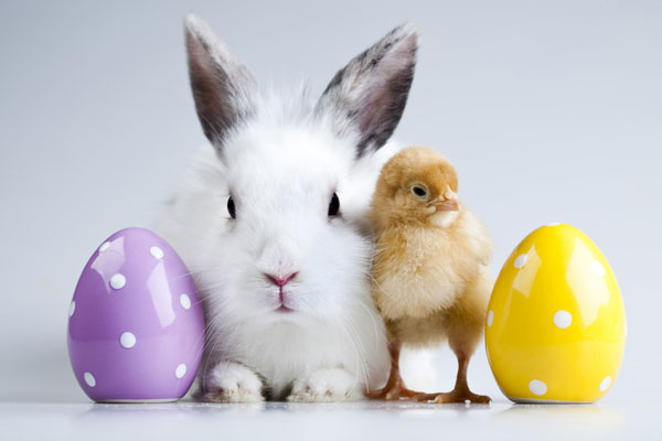 Easter-Background-Designs5