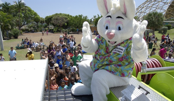 Easter bunny palooza. Photo Seaquarium