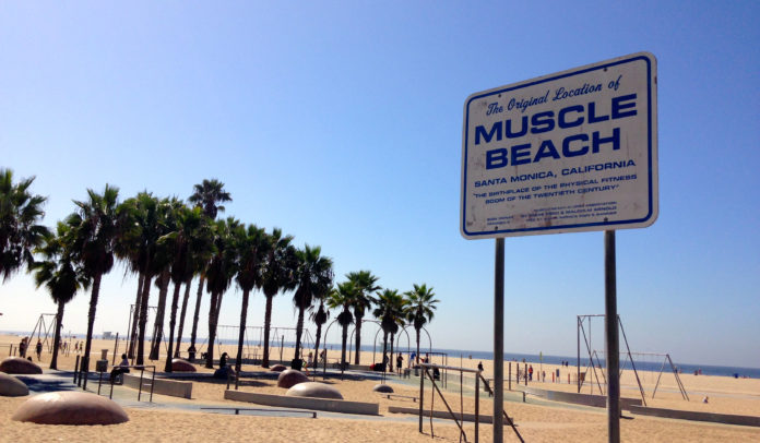 muscle beach