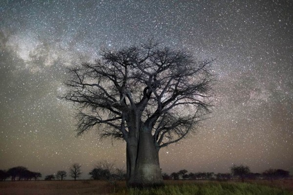Beth-Moon-Polaris