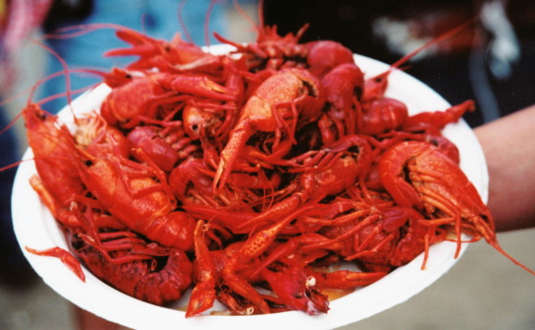 crawfish