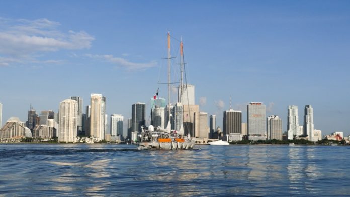 Tara Miami Tara Miami