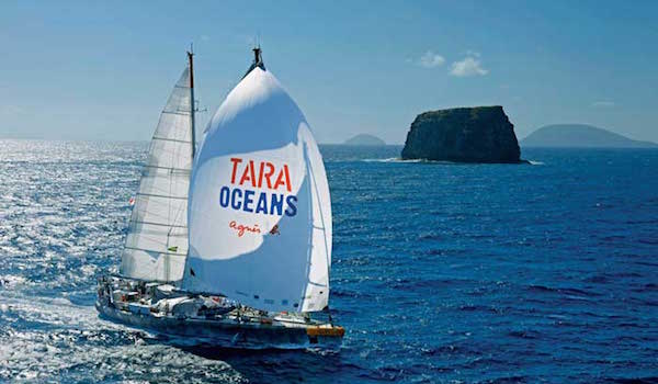 taraexpeditions-18885