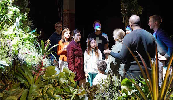 lowline