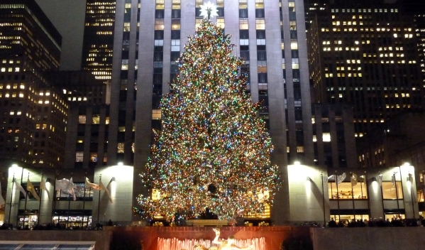 tree