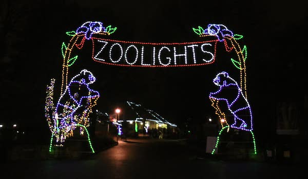 zoo lights miami