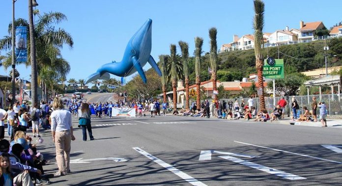 PARADE whales festival