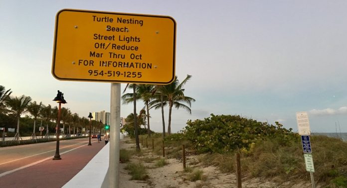 Lampadaires période ponte tortues Floride