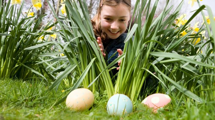 chasse oeuf