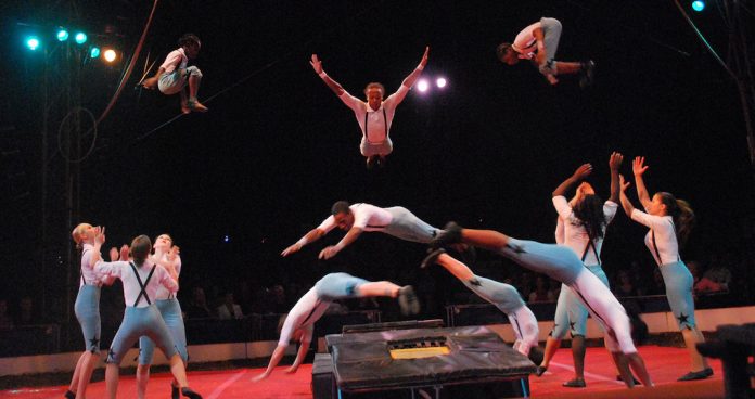 Circus_harmony