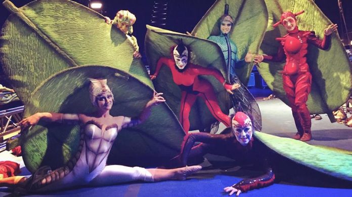 Cirque du Soleil