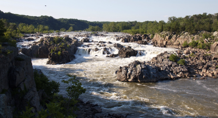 Great Falls 1068580