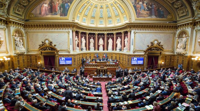 senat