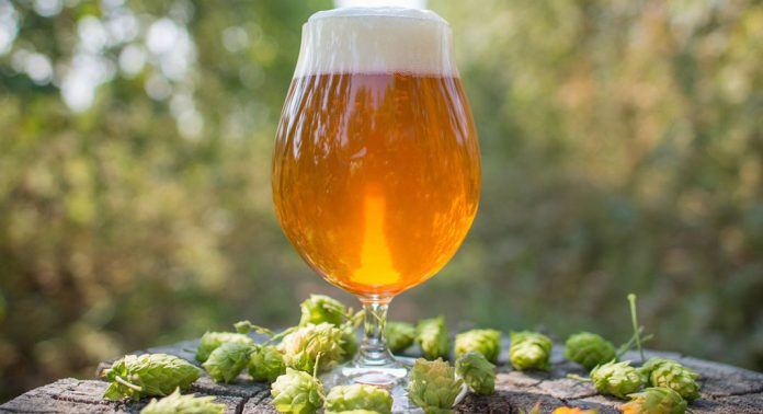 IPAs-HopCones_1200pix