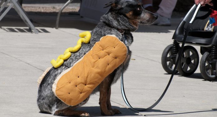 Hot Dog Cliche