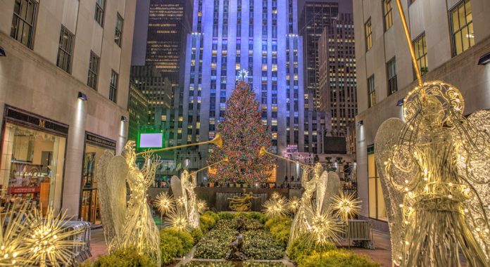 sapin