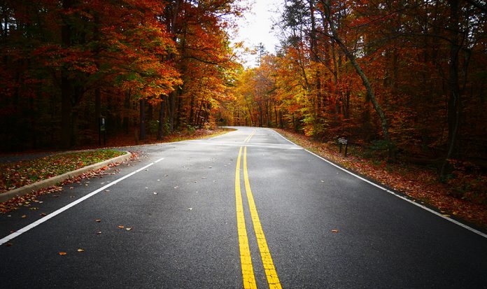 Prince william forest