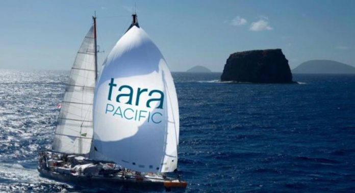 1-TARA-PACIFIC-Spinaker-©-F.Latreille-Tara-Expedition-Fondation