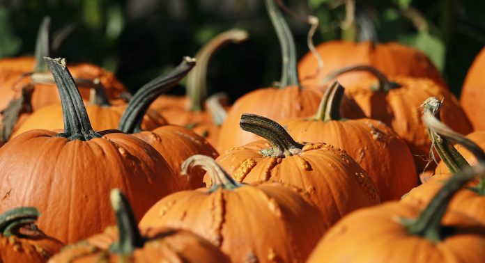 Preparations For Halloween Continue As Weekend Festivities Approach