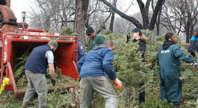mulchfest