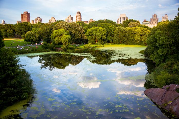 Spring Central Park