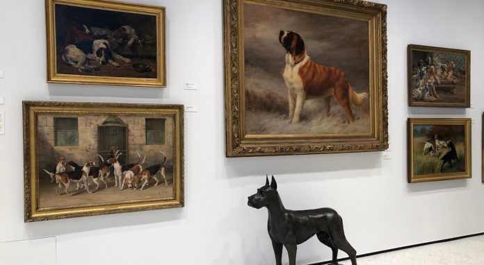 Museum of the Dog